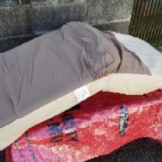 のびるんじゃー座椅子の画像