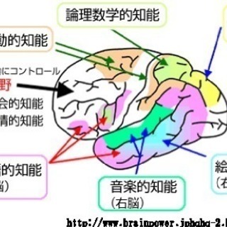 “もしこの手紙の脳の発育理由を真に理解し実践したならば、あなたの子供さんは、半年後には他の子供さんとは明らかに数十歩先を行く脳に発育してしまう方法を公開！の画像