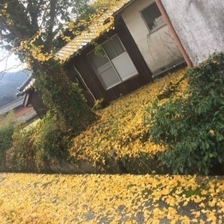 秋月 癒しの杜 【冷え性さん】 と【本が好きな人の交流会】読書会...