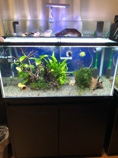 JUN水槽90センチ