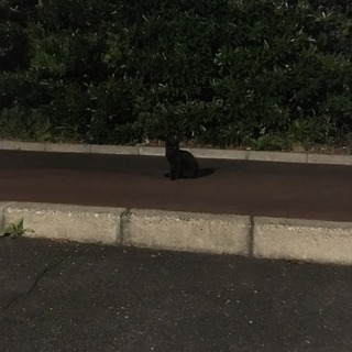 お友達募集 − 埼玉県