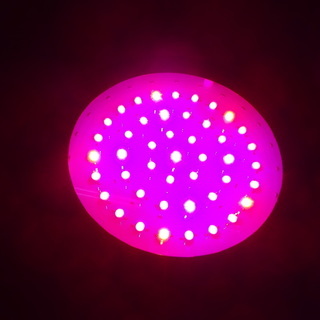 西８４　植物育成ライト　LED