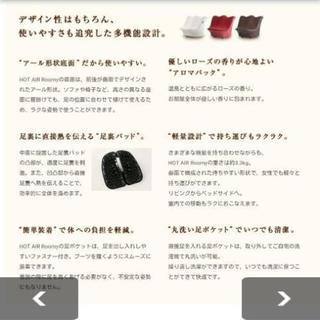 ホットエア ルーミィ の画像