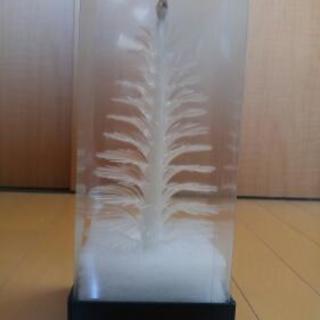 【 値下げ 】クリスマスツリーの間接照明の画像