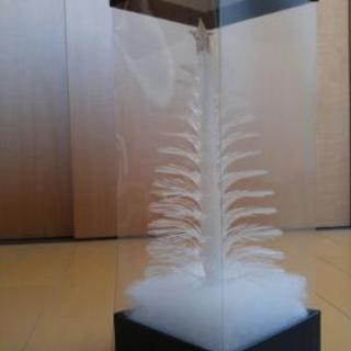 【 値下げ 】クリスマスツリーの間接照明の画像