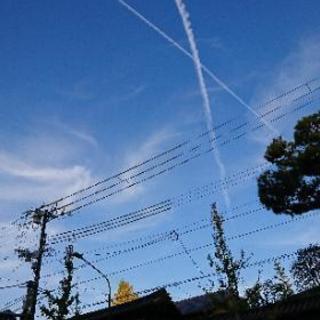 いろいろ出来る友達ほしいです♪