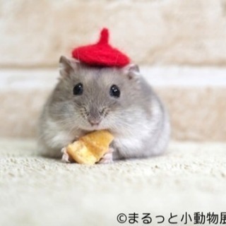 クリスチャンのかた交流しましょう！