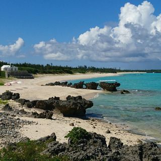 ※もう少しで応募〆切です【人気の西表島‼】★月収30万以上★この冬は南の島で＼ガッツリ／稼ごう♪ サトウキビ製糖製糖工場でのお仕事です！の画像