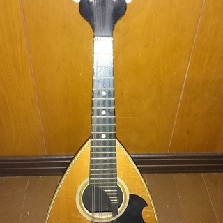 ■マンドリン SUZUKI VIOLIN SHA 1963年製？