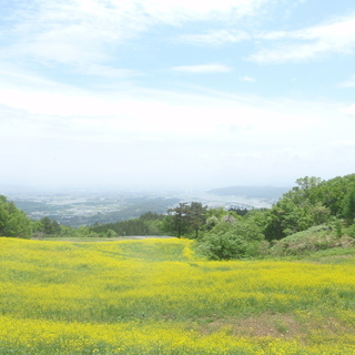 アルバイト急募！！移設作業の為男女お手伝い頂ける方連絡待ってます。 