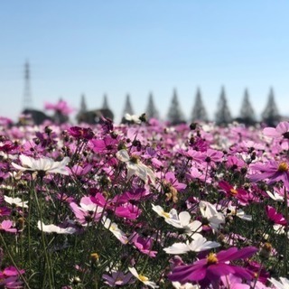 パパが土日仕事のママさん☆