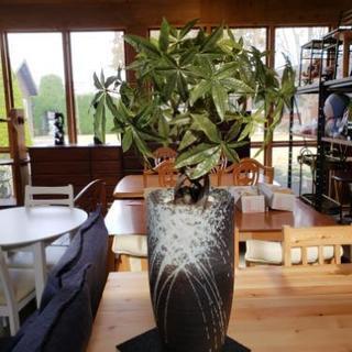 鉢カバー付き観葉植物（造花）