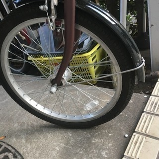 スィートリブ20インチの画像