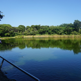 【IT便利屋】小規模事業者様や個人向けにIT製品にまつわる総合サ...