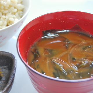 5月度募集中講座のお知らせの画像