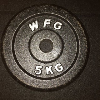 ワイルドフィット プレートの画像