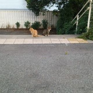 今年も残す所あと、１ヶ月。師走の月に色々と忙しくなりますね❗