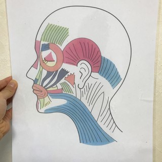 12/08(日)銀座　写真写りを良くするのはもちろん、しわ、たる...