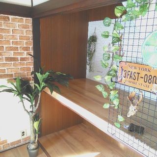 ★勝田台駅近♪3DK戸建て★駐車場あり(不要の場合家賃下がります...