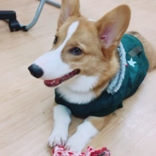 新年度に向けての準備講座