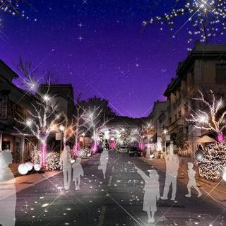 12/19(水)「夜の街歩き」