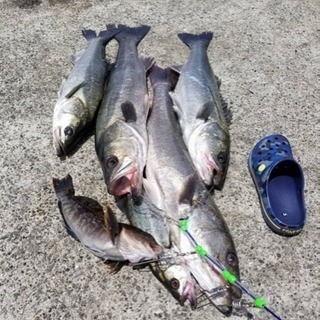 釣り仲間