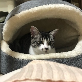 可愛がってくださる方