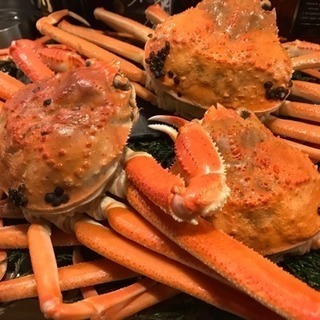 佐渡島のお魚第８弾！ - 名古屋市