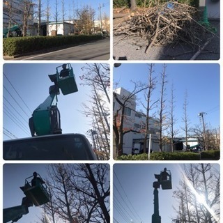 高木剪定 伐採致します 庭の手入れ店【所沢市 川越市さいたま市入...