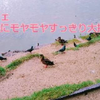朝カフェ～年内にモヤモヤすっきり大掃除～