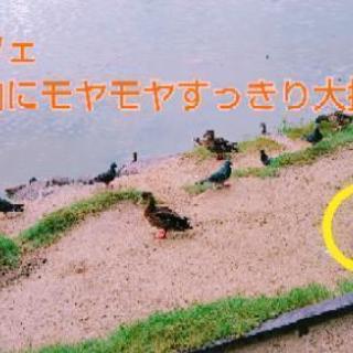 朝カフェ～年内にモヤモヤすっきり大掃除～