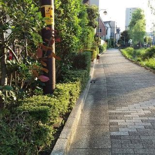 🎄植木　💮造園　世田谷　目黒🌸庭の手入れ　✂剪定　刈込　除草 - 便利屋