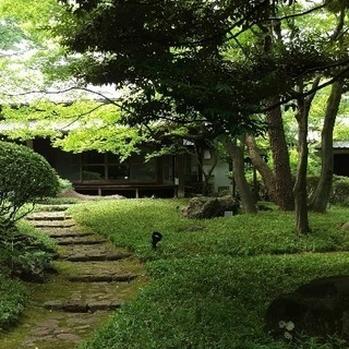 🎄植木　💮造園　世田谷　目黒🌸庭の手入れ　✂剪定　刈込　除草 − 東京都