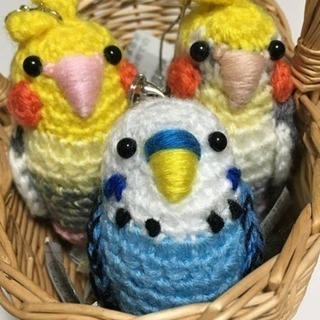 インコ大好きな人、鳥好きさん募集！関西限定