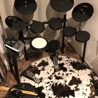 alesis DM8 USB DRUMKIT