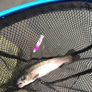 エリアトラウト（管理釣り場）釣り友ほしいです☺️