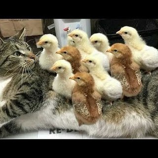 地元はなれて２０年以上完全移住しますので・・・