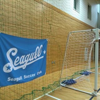 FIDドリーム(知的・発達障がい児者のサッカーチーム)