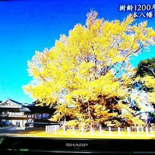 ★40代～50代～男女問わずに、オフ会を楽しみませんか？