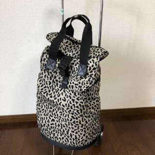 ショピングカート　折り畳み式