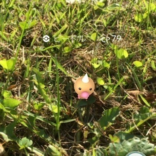 ポケモンGOフレンド募集⠒̫⃝