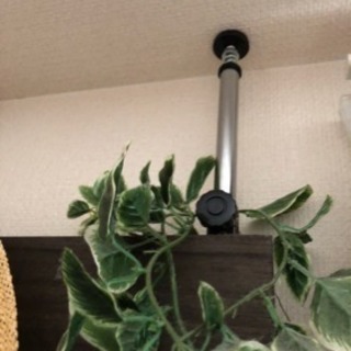 コレクションボード ラック ネジ調節式の画像
