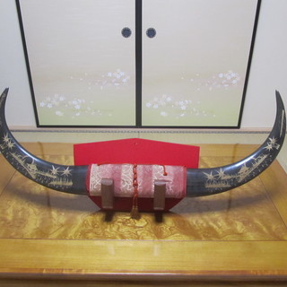 壁掛け型装飾　水牛の角 （彫刻入り）