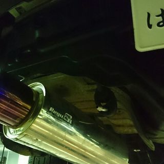 長崎発　日産　シルビア　Ｓ１４後期　ＮＡ　車検31年4月の画像
