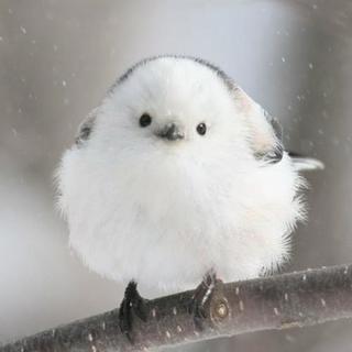お友達になりませんか？？