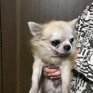 2011年3/31生まれ♂