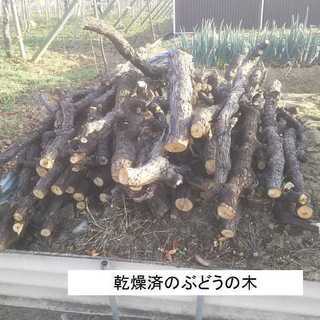 薪（ぶどうの木）”無料”の画像