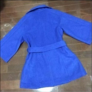 ブルーコートの画像