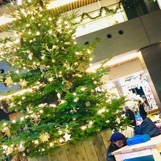 植物🎄お花🌷自然好き友だち募集😊✨