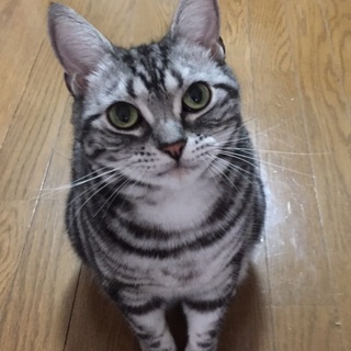 まずはLINE友達から。。。